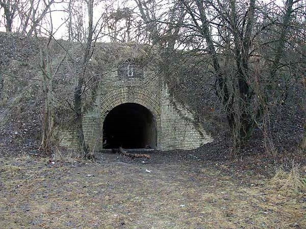 Лисогірський форт