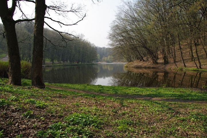 Національний природний парк «Голосіївський»
