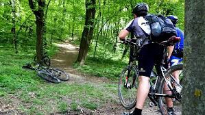 Biking along the ecological trail