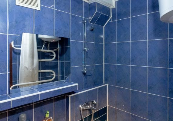 1-к.квартира подобово у Києві, вул. Героїв Дніпра 3